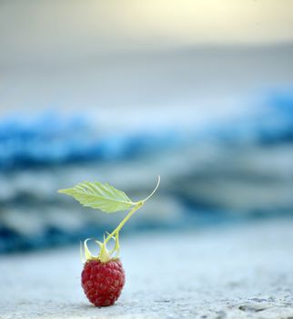 Picture of a Fresh Ripe raspberries. Pure organic