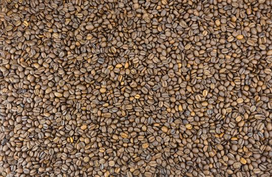 Many coffee beans as background