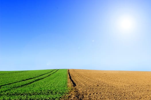 Green and plowed field conceptual image. Picture of green  and plowed field in summer.