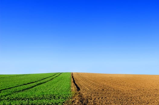 Green and plowed field conceptual image. Picture of green  and plowed field in summer.