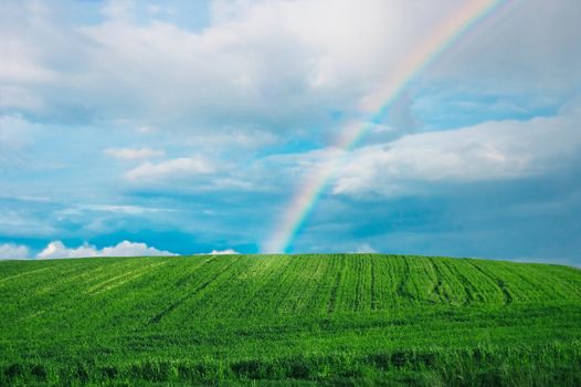 Rainbow over the green field at summer.