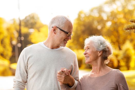 family, age, tourism, travel and people concept - senior couple walking in park