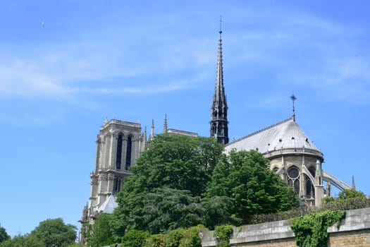 Notre Dame cathedral from seine