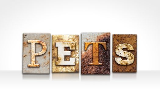 The word "PETS" written in rusty metal letterpress type isolated on a white background.