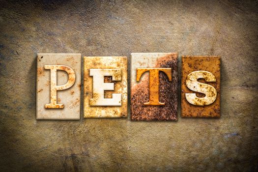 The word "PETS" written in rusty metal letterpress type on an old aged leather background.
