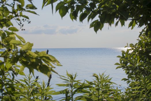 A view of lake erie from Point Pelee National Park in Ontario, Canada.