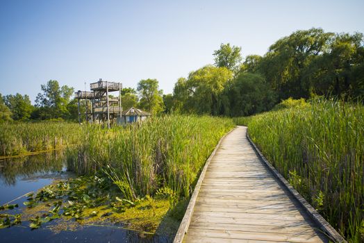 Wooden board walk and lookout on Pelee point conservation area, Ontario, Canada