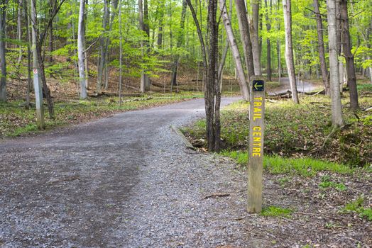 Hiking trail in a forest, taken at Dundas conservation area, Ontario, Canada.