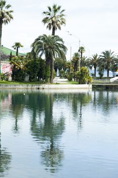 City pond in an environment of palm trees waiting for vacationers