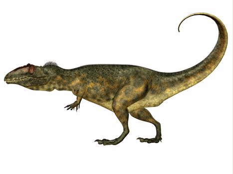 Giganotosaurus was a theropod carnivorous dinosaur that lived in the Cretaceous Period of Argentina.