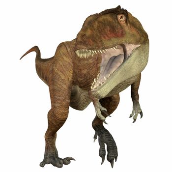 Carcharodontosaurus was a carnivorous theropod dinosaur that lived in Sahara, Africa during the Cretaceous Period.