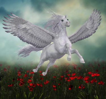 A beautiful white Pegasus horse flies over a field of red poppies on wide spread wings.