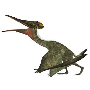 Pterodactylus was a flying carnivorous reptile that lived in the Jurassic Period of Bavaria, Germany.