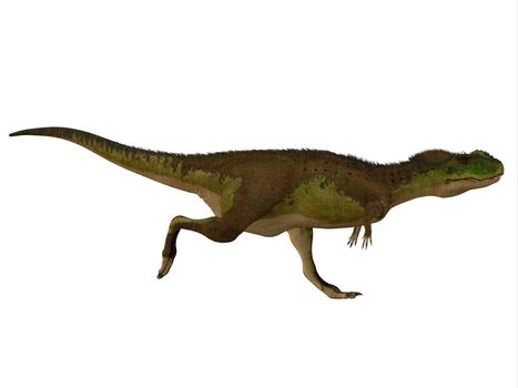 Rugops was a carnivorous theropod dinosaur that lived during the Cretaceous Period of Africa.