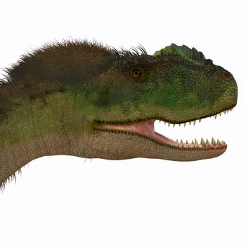 Rugops was a carnivorous theropod dinosaur that lived during the Cretaceous Period of Africa.