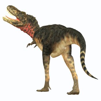 Tarbosaurus was a carnivorous theropod dinosaur that lived during the Cretaceous Period of Asia.