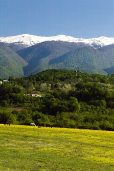 Mountains are covered with snow and the wood and surrounded with clouds