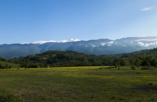 Mountains are covered with snow and the wood and surrounded with clouds