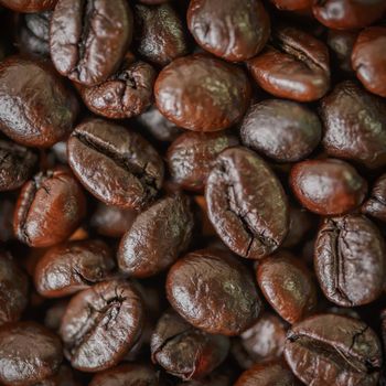 Roasted coffee beans.For art texture or web design and web background.