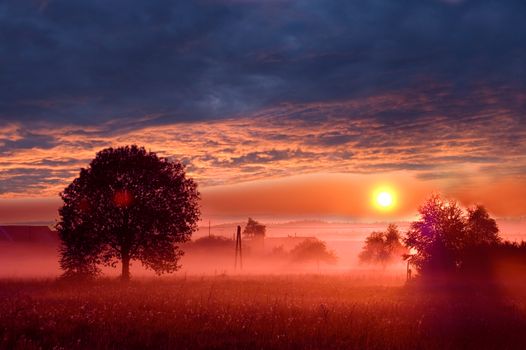 Beautiful sunrise on the field.