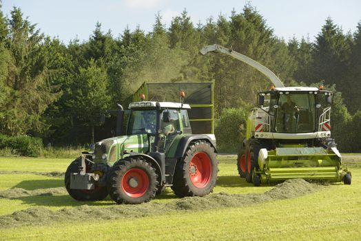 Agriculture, forage harvester and transport grass with green tractor and grass trailer
