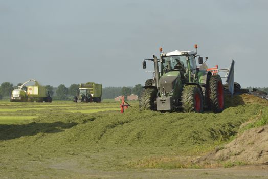 Agriculture, cut grass chopping and silage with tractors
