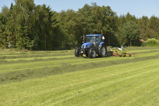 Agriculture, the kidding of shaken grass with blue tractor with kidder
