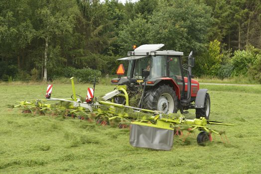 Agriculture, shaking of the mown grass with red tractor with Tedder
