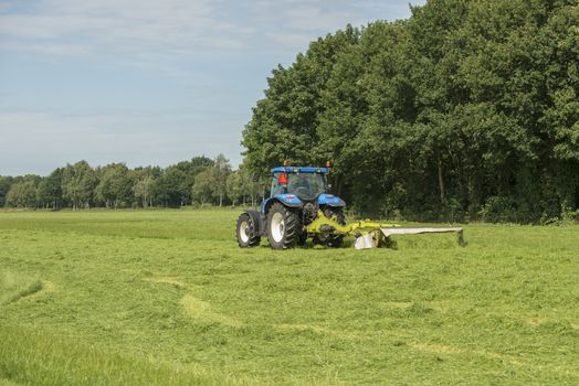 Agriculture, pasture mowing with blue tractor 
