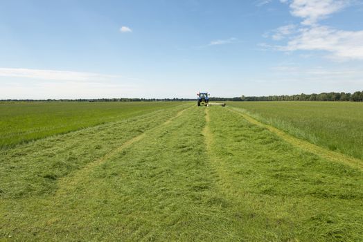 Agriculture, pasture mowing with blue tractor 
