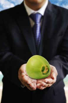 Businessman offer coconut friut