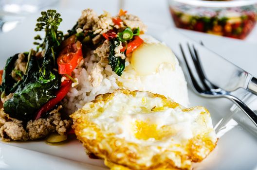 Thai spicy food basil pork fried with rice and fried egg and chili fish sauce,Pad Kra Pao moo