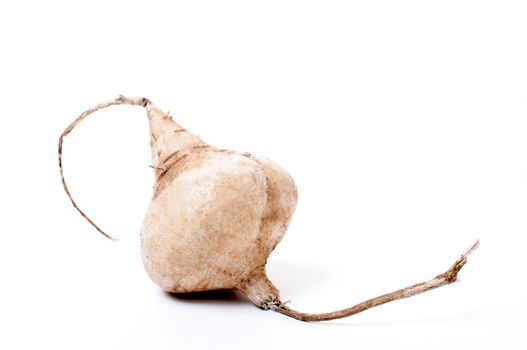 Whole Jicama isolated on white background