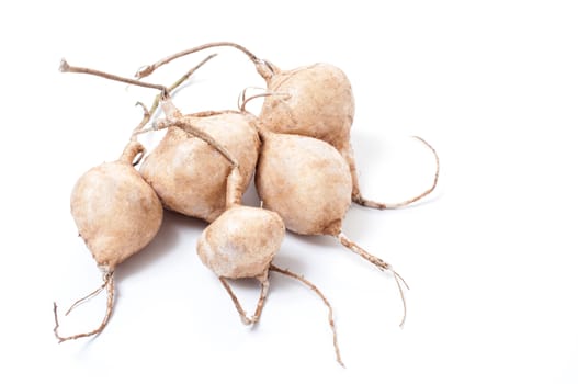 Whole Jicama isolated on white background