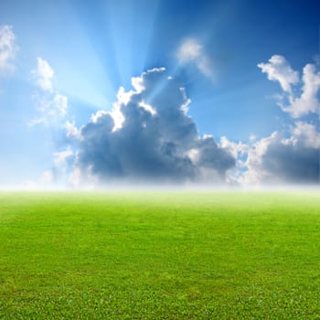 Nice green grass with blue sky background, Landscape background