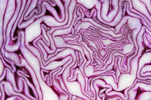 Red Cabbage in closeup. Red cabbage (Brassica oleracea var. capitata f. rubra) is a kind of cabbage, also known as purple cabbage,texture