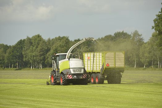 Agriculture, forage harvester and transport grass with green tractor and grass trailer
