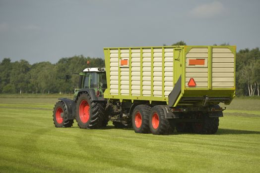 Agriculture, transport of cut grass with green tractor and grass trailer
