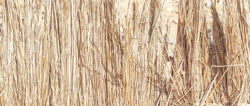 Natural textures. Weave, twisted twigs, dried stalks