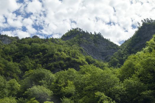 Mountains are covered with snow and the wood and surrounded with clouds