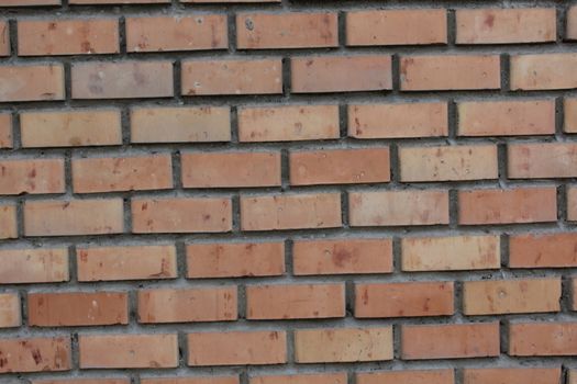 Brick wall texture for background.