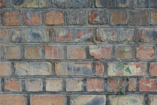 Brick wall texture for background.