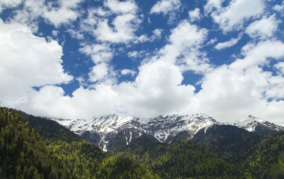 Mountains are covered with snow and the wood and surrounded with clouds