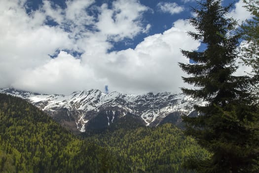 Mountains are covered with snow and the wood and surrounded with clouds