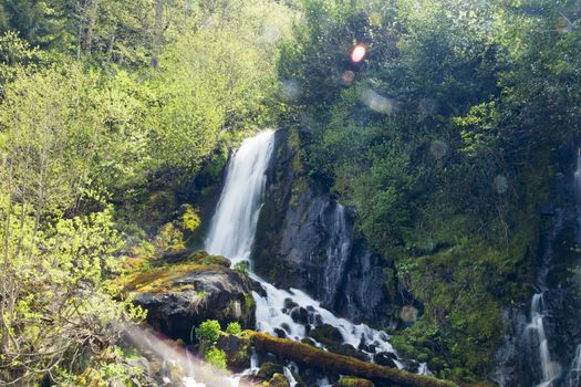 The falls in mountains flow from above and rustle