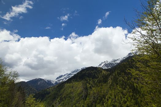 Mountains are covered with snow and the wood and surrounded with clouds