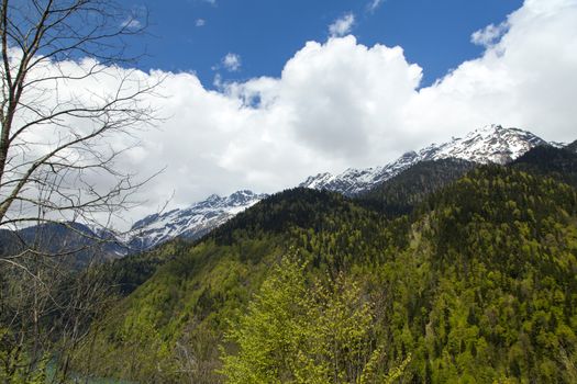 Mountains are covered with snow and the wood and surrounded with clouds