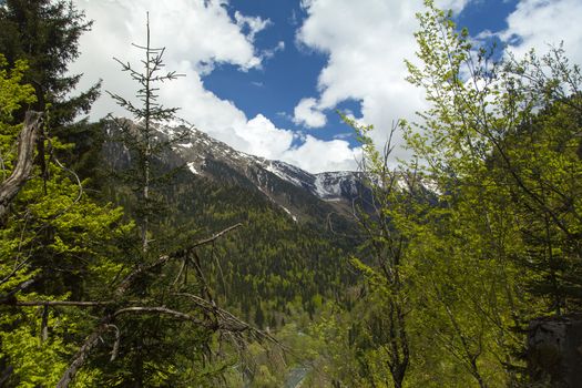 Mountains are covered with snow and the wood and surrounded with clouds