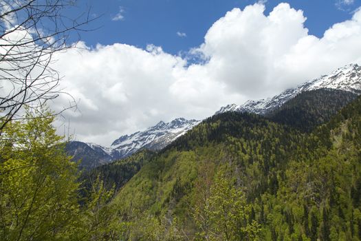 Mountains are covered with snow and the wood and surrounded with clouds