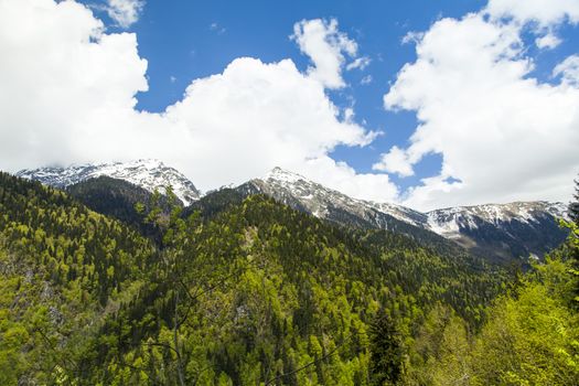 Mountains are covered with snow and the wood and surrounded with clouds